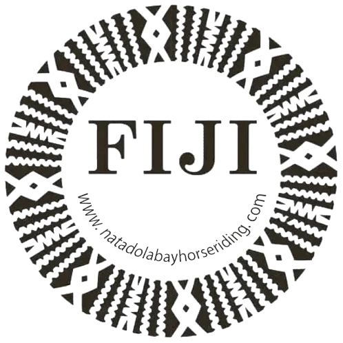 Fiji Beach Horse Riding