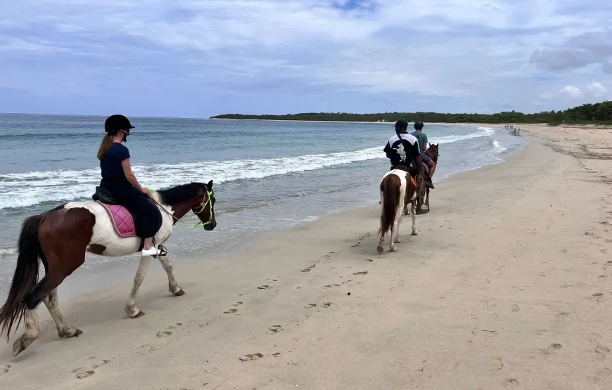Natadola Beach Horse Riding Fiji – AU$76