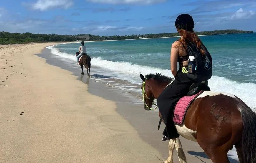 Natadola Beach Horse Riding Fiji – AU$76