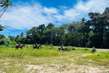 Coral Coast Fiji Mountain View Horse Riding 2025