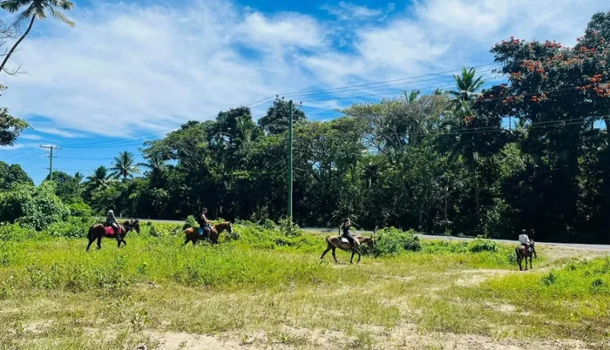 Coral Coast Fiji Mountain View Horse Riding 2025