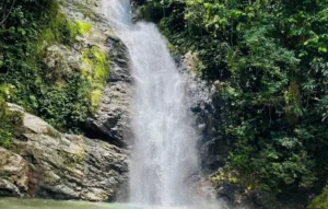 Coral Coast Fiji Waterfall and Rainforest Horse Riding