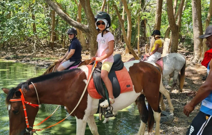 Natadola Bay Horse Riding & Beach Massage in Fiji