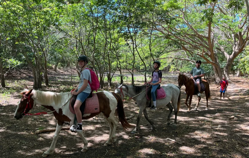 Natadola Bay Horse Riding & Beach Massage in Fiji