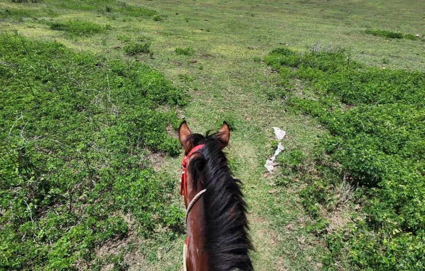 Natadola Bay Horse Riding & Beach Massage in Fiji