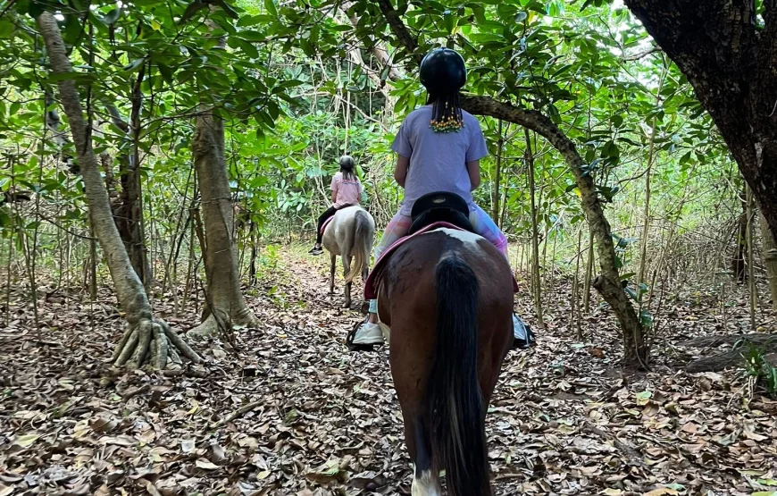 Natadola Bay Horse Riding & Beach Massage in Fiji