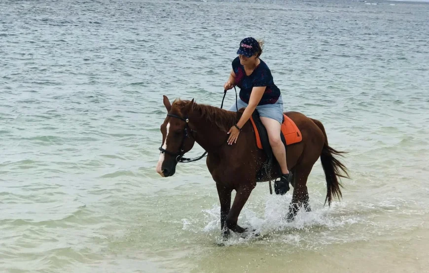 Natadola Bay Horse Riding & Beach Massage in Fiji