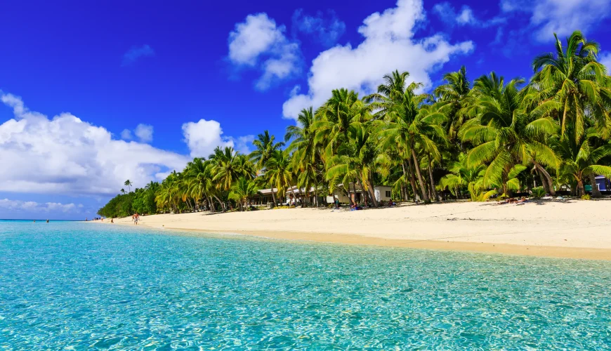 Savusavu Beach & Snorkeling Adventure