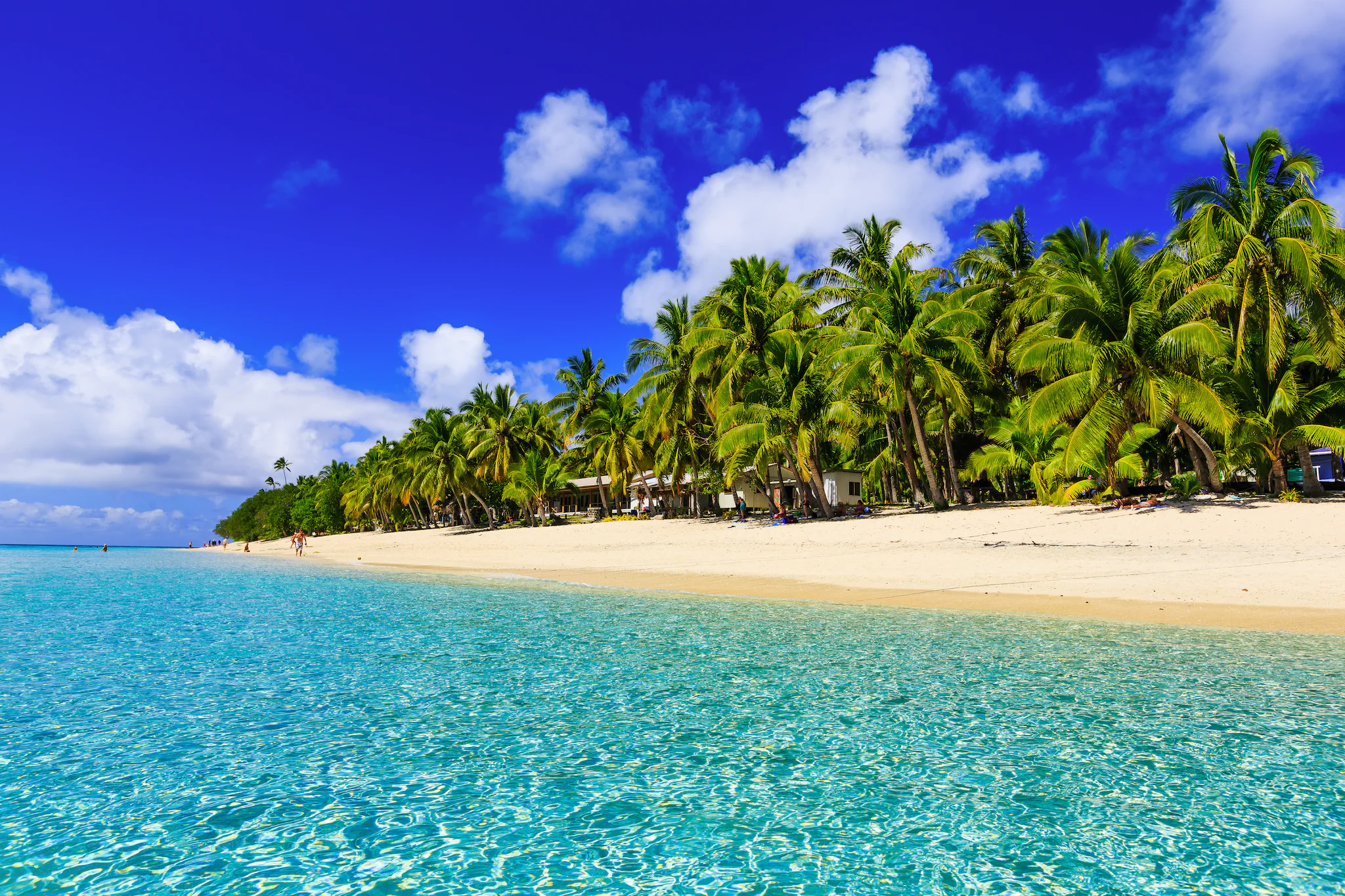 Savusavu Beach & Snorkeling Adventure